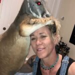 Doneva Littlefield comprou dois cangurus vermelhos em junho do ano passado de um amigo que os levou ao Colorado de um criador no Texas; Ela diz que tinha