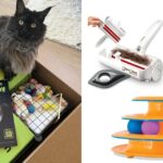 Eu sou um pai de gato: essas são as 11 melhores ofertas do dia da Amazon Pet que eu tentei e recomendo