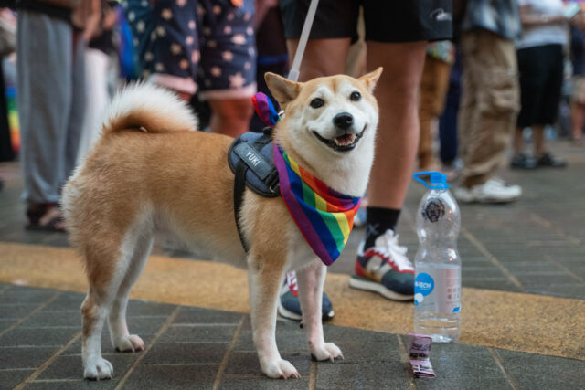Ex-advogado de Trump entra no Barkbox sobre o tópico do orgulho

