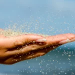 Explique um punhado desse tempero através do limiar do apartamento. O ritual perfeito no início do mês