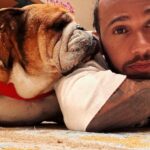 O motorista da Ferrari F1, Lewis Hamilton, com seu cachorro Roscoe.