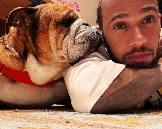 O motorista da Ferrari F1, Lewis Hamilton, com seu cachorro Roscoe.