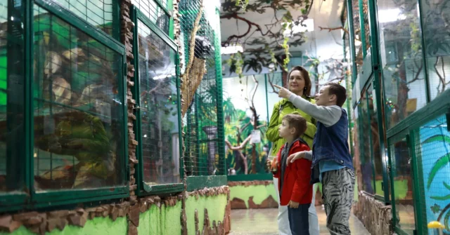 Fim de semana no zoológico para o pln 1? Tais coisas apenas em um conhecido!

