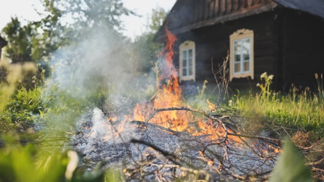 Fumar Galazi em sua própria propriedade 2025. Você pode fumar vendaval no jardim? Que penalidade para fumar os Galazi na trama. O que dizem as receitas 2025?




