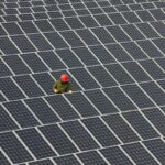 Man inspecting solar panels.