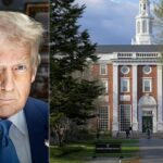 Harvard processa o governo Trump por concluir a matrícula de estudantes estrangeiros