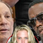 Harvey Winsstein P Duji Crystal Mc Terkina Main Hetty