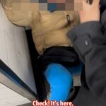 Vídeos chocantes parecem mostrar um suposto ladrão que pega o telefone das mãos de um estudante chinês pouco exigente