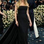 Você pode dizer chato? O modelo Heidi Klum usava um vestido preto comum com bordado branco ao longo dos lados projetados por veterinários. O vestido tinha um longo trem que parecia ser jogado fora várias vezes