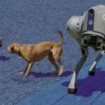 Meu primeiro dia com unidades Go2 Pro Robot Dog
