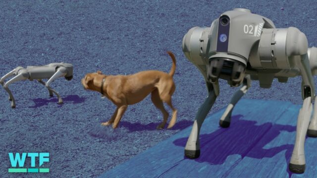 Meu primeiro dia com unidades Go2 Pro Robot Dog

