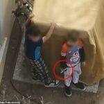 Os policiais do Novo México foram forçados a enfrentar dois meninos com apenas sete e nove anos quando se recusaram a lançar uma arma
