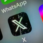X bug
