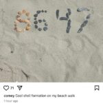 Comey compartilhou o post bizarro (foto) no início deste mês, no qual ele mais tarde insistiu não se destinava a ser um chamado para o assassinato de Trump e ele