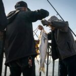 O Golfo da Baía de São Francisco está contaminado com 'Forever Chemicals' que podem prejudicar a pesca