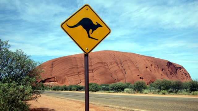 O Kangaroo de apoio emocional viral é uma criação de IA

