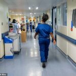Uma confiança do NHS sugeriu que sua equipe de trans -sexo deveria receber intervalos extras se carregassem encadernação no peito ou precisasse de uma pausa para remover seus órgãos genitais (imagem: imagem da equipe do NHS em um departamento movimentado)