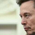 O envolvimento de Doga de Musk foi "uma das maiores destruições da marca": especialista