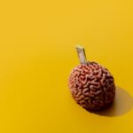 Image of money sticking out of a brain against a yellow background