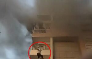 O momento chocante da mulher pula do quinto andar de um bloco em casa em chamas e sobrevive Este é o momento do coração, pare que uma pessoa pula do quinto andar de um prédio em chamas para escapar da chama