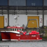 O navio de pesca