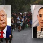 O presidente mexicano recusa a oferta de Trump de nos enviar tropas para combater cartéis de drogas