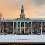 “Pharian, Poker Chips”: Estudantes estrangeiros em pânico Harvard no meio de Trump Battle