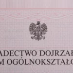 Por fim, um sino de burocracia? Confira o que fazer!