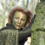 Quiz. Ajuste o personagem com uma série polonesa icônica. 20/20 apenas para o espectador certo