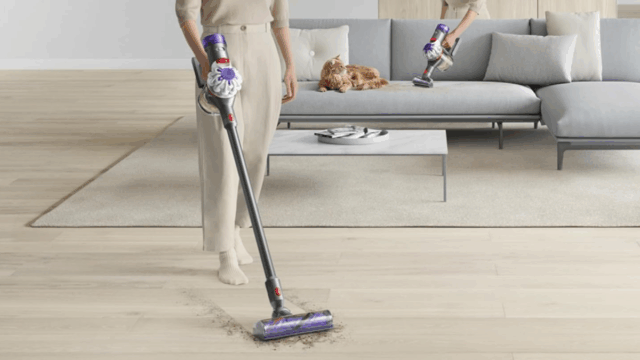 Dyson V8 Plus Wireless Vacuum (prata/níquel)