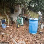 Especialistas British Garden Compartilhou maneiras simples, mas eficazes de pular seu jardim de volta à vida (imagem de estoque)