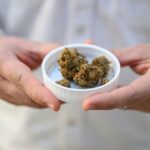 A maconha medicinal tem sido uma bênção para a empresa de Berlim, cujo site diz