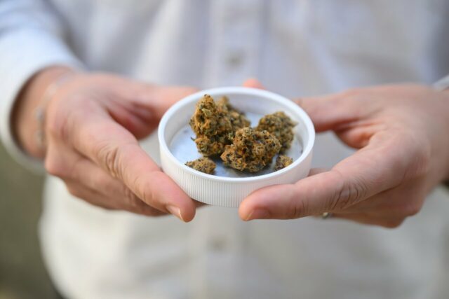 A maconha medicinal tem sido uma bênção para a empresa de Berlim, cujo site diz 