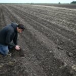 Terras Eatrudadas, Culturas Resumidas: Os agricultores britânicos oram por chuva no meio da primavera mais seca desde 1852