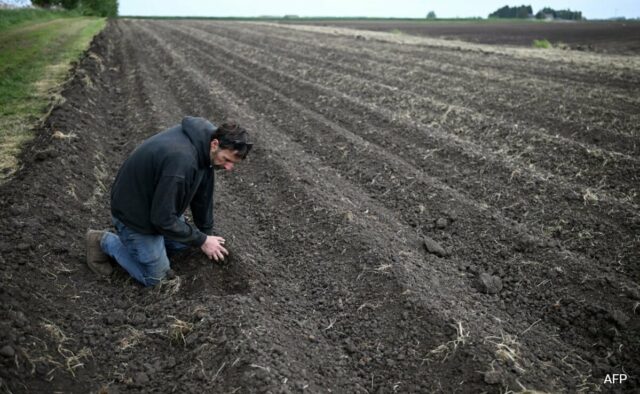 Terras Eatrudadas, Culturas Resumidas: Os agricultores britânicos oram por chuva no meio da primavera mais seca desde 1852

