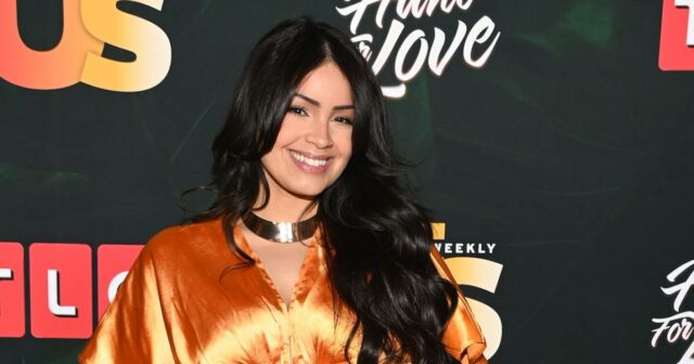 O TLC anuncia uma nova busca de 90 dias para a estrela do amor 8 rostos da família 1ª olhada no programa de namoro
