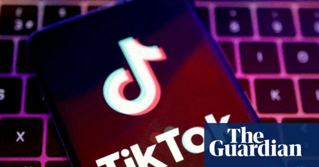 Tiktok violou as leis de tradução da UE, diz o comitê, diz o Comitê, diz

