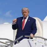 Donald Trump ordena a principal revisão do Conselho de Segurança Nacional para reduzir seu tamanho de mais de 100 funcionários