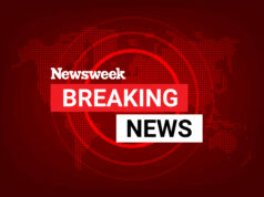 2 eliminado, 5 prejudicados na captura de barra de Indiana Trump preparado para trazer Harvard Fresh $ 100m Bow: Relatório