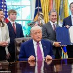 O presidente Donald Trump analisa a suspensão do habeas corpus, o direito de uma pessoa de questionar sua detenção no tribunal dentro de sua extensa intervenção de intervenção de imigração