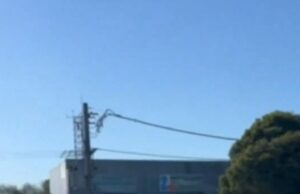 Um candidato político é brutalmente chutado, socado e um tapa ao distribuir como votar os cartões de voto Um ciclista chutou e deu um soco em um trompete de Patriots voluntário em um estande de pré-poliação em Melbourne na quinta-feira