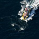 Uma missão perigosa a bordo de um navio para desvendar um Whale direito