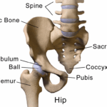QUADRIL