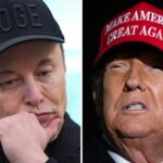 1600: Bromance de Trump-Mush é preso