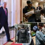 3000 prisões no gelo de Trump um dia foco em criminosos e "moral matando": pessoas externas