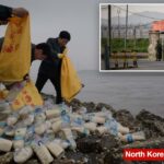 6 americanos detidos por tentar enviar arroz e a Bíblia para a Coréia do Norte por mar: Polícia