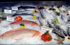 A China começa cerca de 2 anos de idade na tempestade de japoneses no Fukushim A China começa cerca de 2 anos de idade na tempestade de japoneses no Fukushim