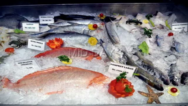 A China começa cerca de 2 anos de idade na tempestade de japoneses no Fukushim

