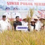 A Comissão DPR IV destaca a inovação da cultura do arroz com o meio ambiente no Regency Agam
