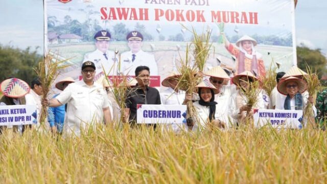 A Comissão DPR IV destaca a inovação da cultura do arroz com o meio ambiente no Regency Agam

